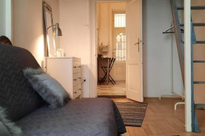 Nice downtown apartment